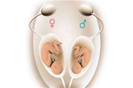 慈安中西医结合试管中心